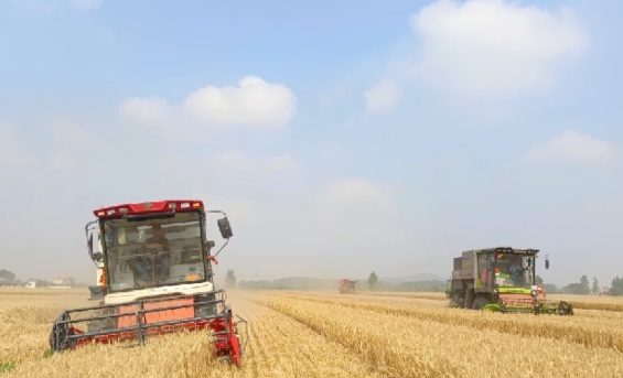 央媒觀豫 | 人民日?qǐng)?bào)：“云”上約農(nóng)機(jī) 夏收更高效