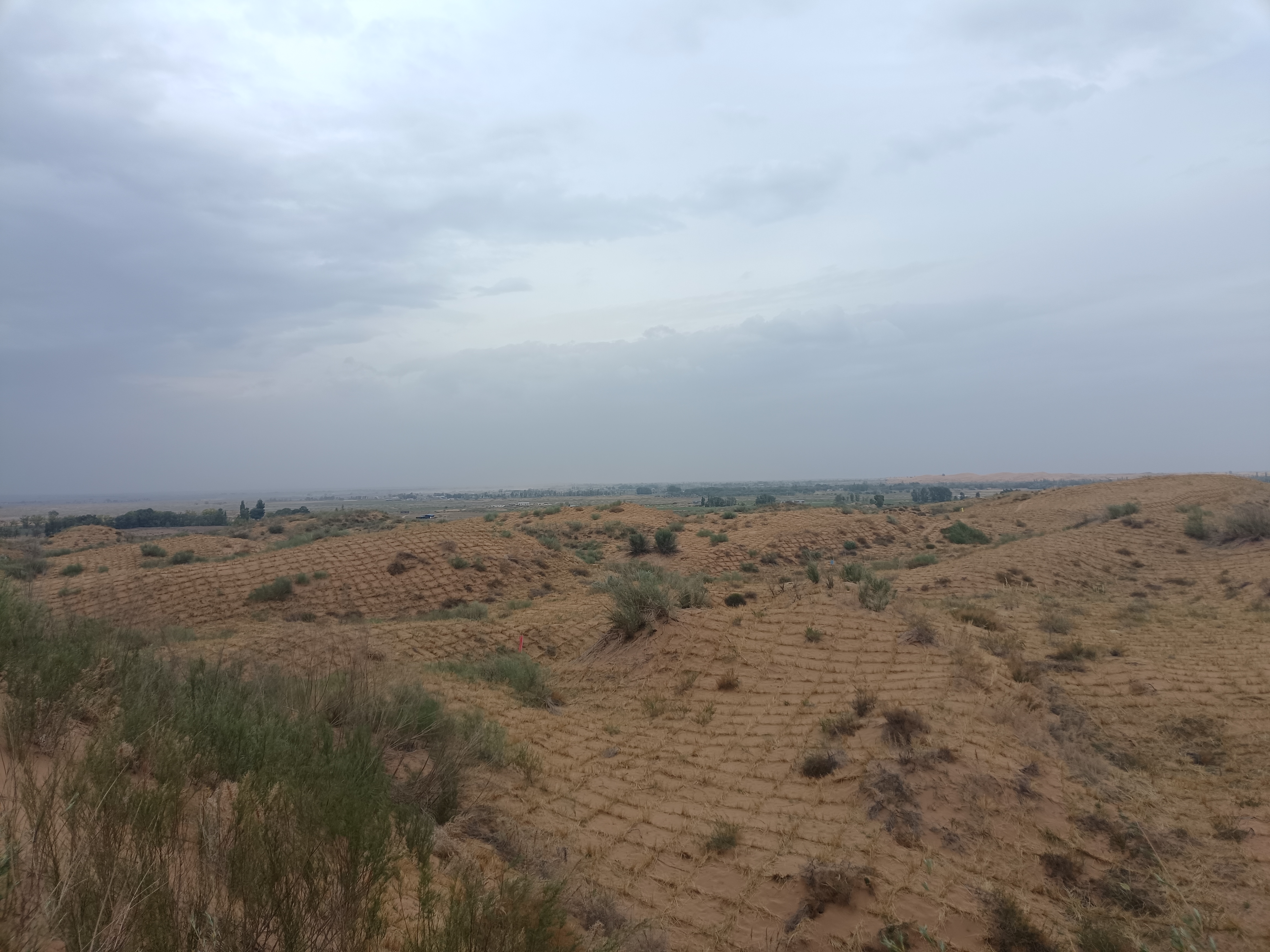 習(xí)近平總書記關(guān)切事 | 為了綠色長城萬里長——“三北”工程攻堅(jiān)戰(zhàn)一線見聞