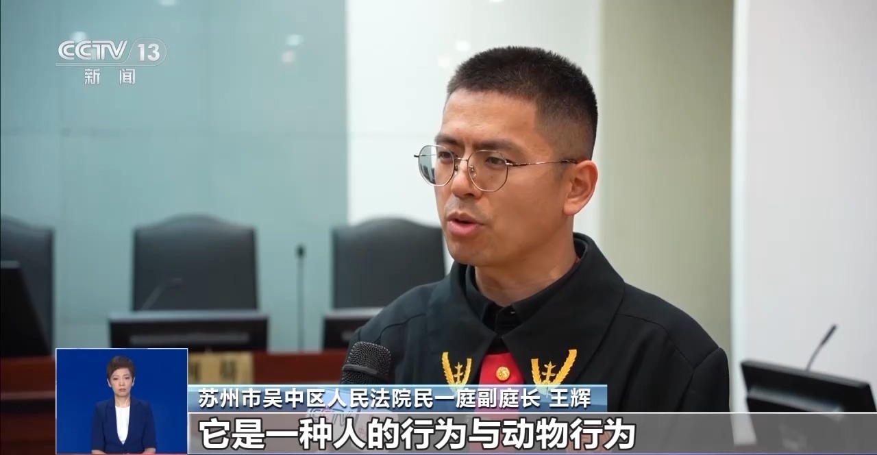 寵物&ldquo;無接觸&rdquo;致人受傷 寵物主人是否要擔(dān)責(zé)？一文了解&rarr;