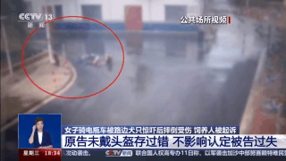 寵物&ldquo;無接觸&rdquo;致人受傷 寵物主人是否要擔(dān)責(zé)？一文了解&rarr;