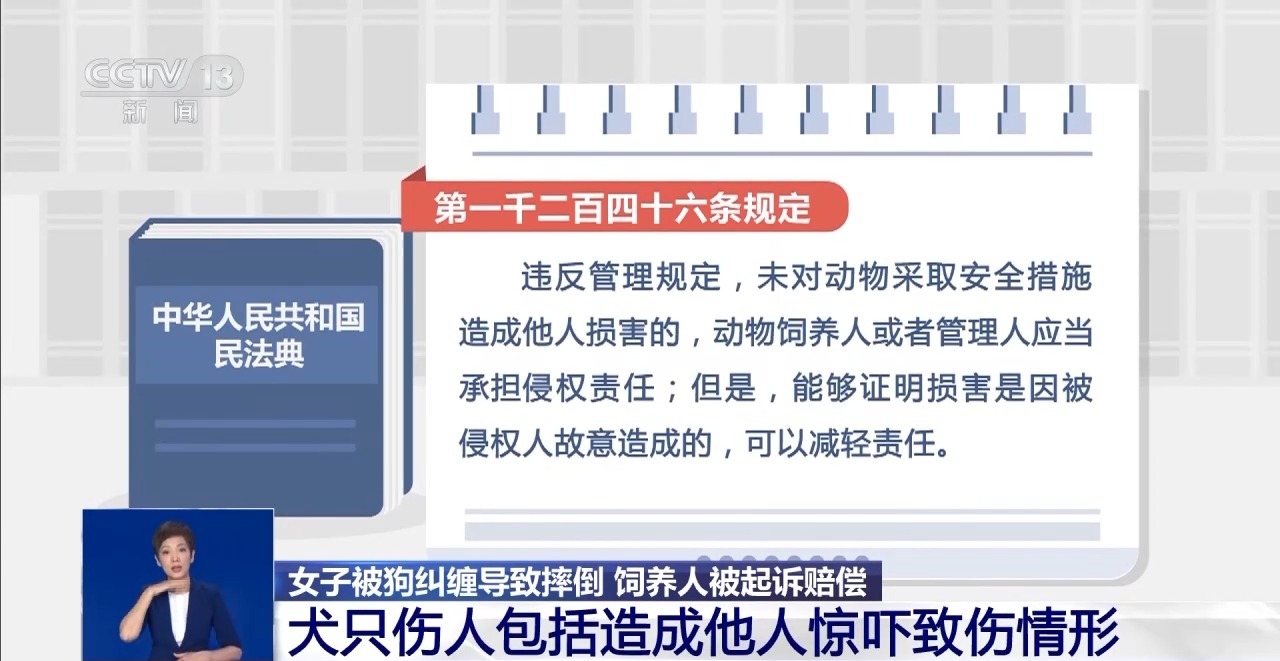 寵物&ldquo;無接觸&rdquo;致人受傷 寵物主人是否要擔(dān)責(zé)？一文了解&rarr;