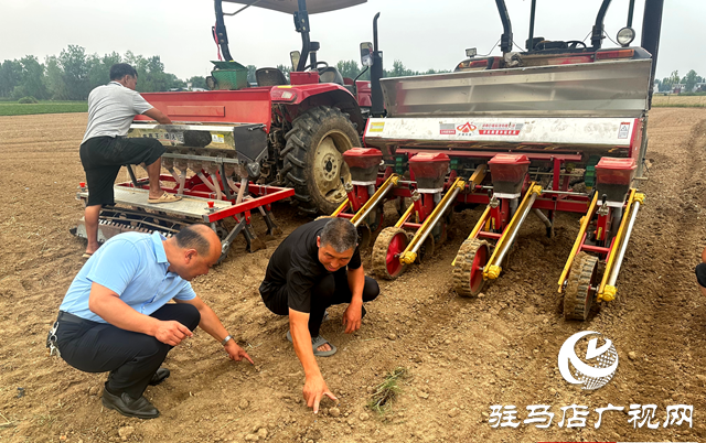 泌陽縣郭集鎮(zhèn)：推廣大豆玉米帶狀復(fù)合種植 實現(xiàn)&ldquo;一地雙收&rdquo;