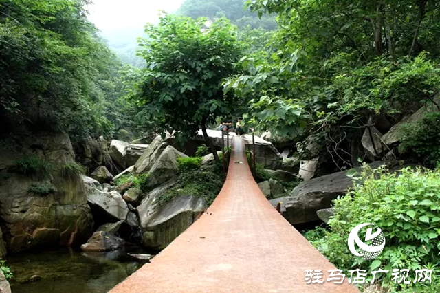 泌陽縣峻險(xiǎn)秀美&ldquo;九龍瀑&rdquo; 大自然的鬼斧神工