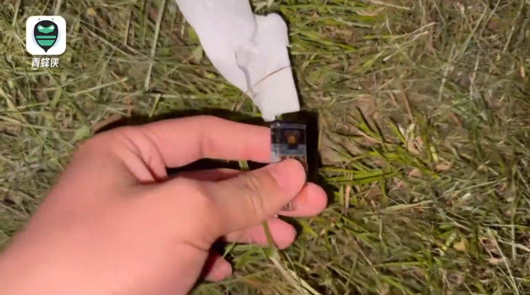 警惕可能潛伏在你身邊的毒品！