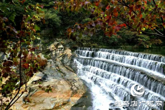 探尋河南泌陽，感受文明縣城里的美麗家鄉(xiāng)風情