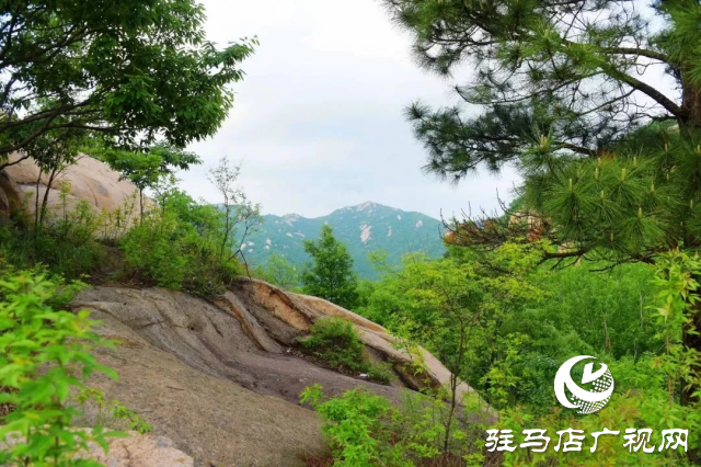 探尋河南泌陽，感受文明縣城里的美麗家鄉(xiāng)風情