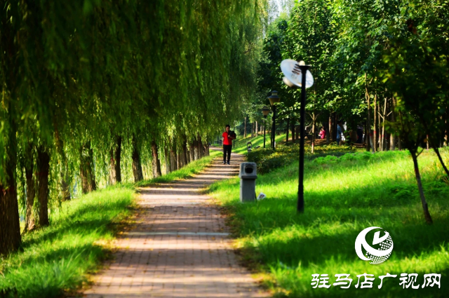 探尋河南泌陽，感受文明縣城里的美麗家鄉(xiāng)風情