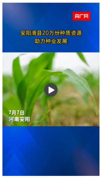 安陽(yáng)滑縣20萬(wàn)份種質(zhì)資源助力種業(yè)發(fā)展