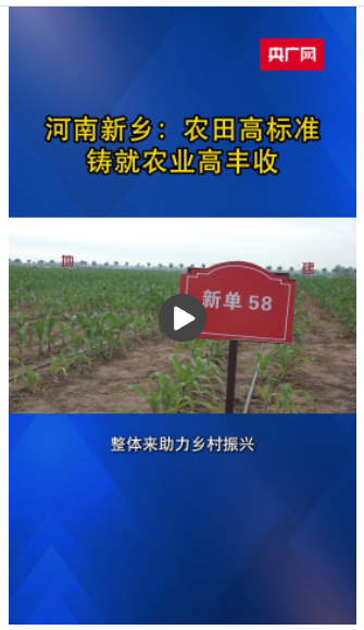 河南新鄉(xiāng)：農田高標準鑄就農業(yè)高豐收