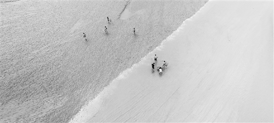 上百人涌下江堤去搶潮頭魚(yú) 有人為搶流量，有人跟風(fēng)打卡