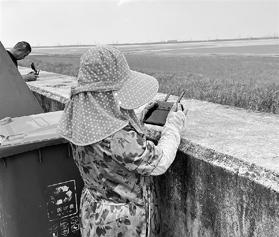 上百人涌下江堤去搶潮頭魚(yú) 有人為搶流量，有人跟風(fēng)打卡