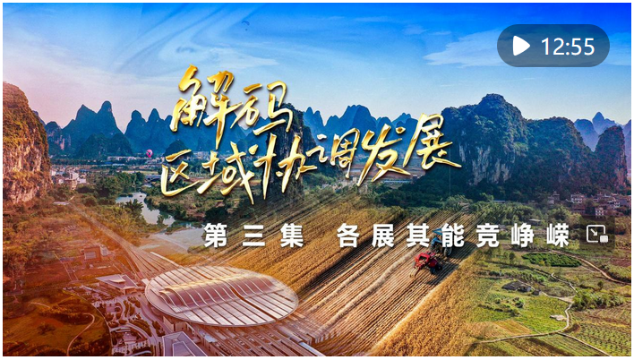 新華社播發(fā)四集政論片《解碼區(qū)域協(xié)調發(fā)展》