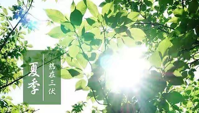 三伏天養(yǎng)生，中醫(yī)推薦這些簡單易行的保健方法，預(yù)防夏季常見病!