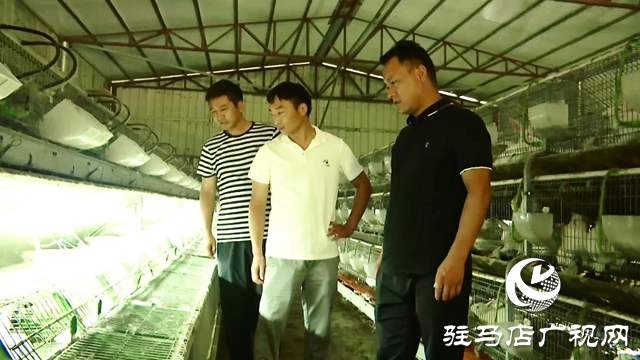 正陽(yáng)縣人大代表高振偉：助推鄉(xiāng)村振興新篇章