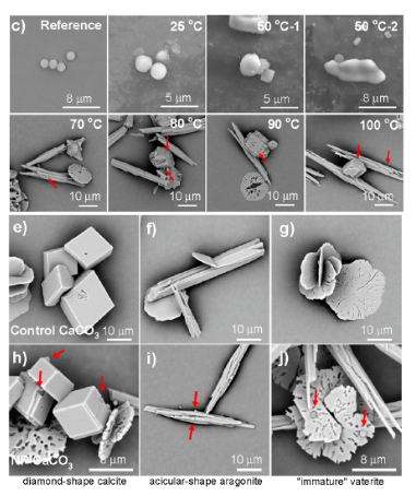 長期自己燒水喝和經(jīng)常買桶裝水喝的人，誰更健康？