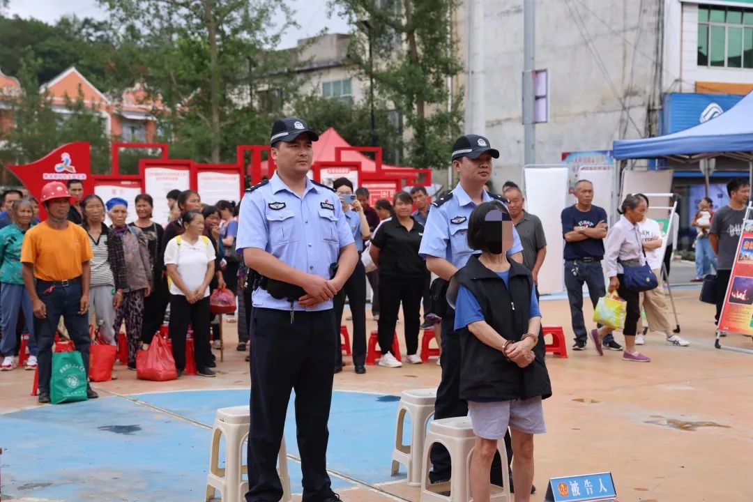 損失141萬！69歲女子獲刑8個月，竟是因為報復螞蟻？