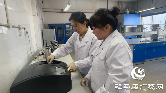 黃楠楠:甘于奉獻(xiàn)創(chuàng)佳績(jī) 平凡崗位展風(fēng)采