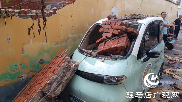 狂風刮倒大桐樹 砸壞圍墻電動車