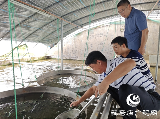 平輿縣清河街道馮寨社區(qū)：龜鱉養(yǎng)殖孵出致富“金蛋”