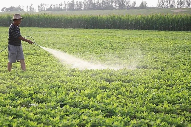 正陽縣傅寨鄉(xiāng)：科技進地頭 改變“望天收”