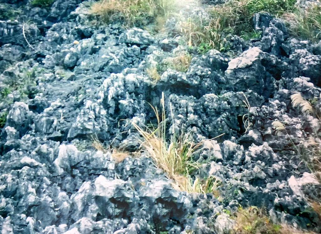 時(shí)光相冊丨弄拉的重生：荒山披綠 窮嶺生金