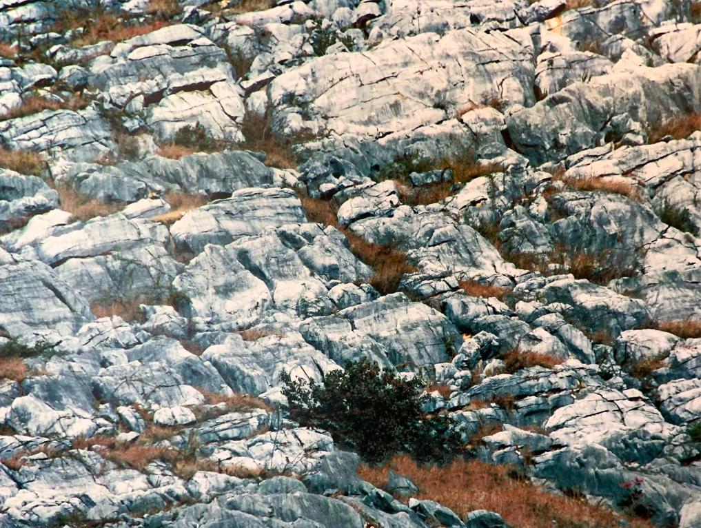 時(shí)光相冊丨弄拉的重生：荒山披綠 窮嶺生金