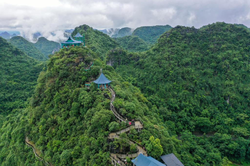 時(shí)光相冊丨弄拉的重生：荒山披綠 窮嶺生金