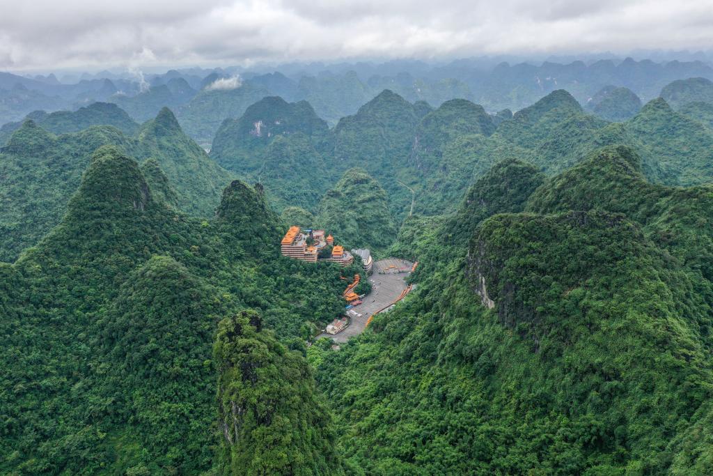 時(shí)光相冊丨弄拉的重生：荒山披綠 窮嶺生金
