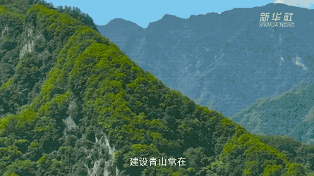 習(xí)近平講述的故事｜守護(hù)美麗黃山的“中國好人”