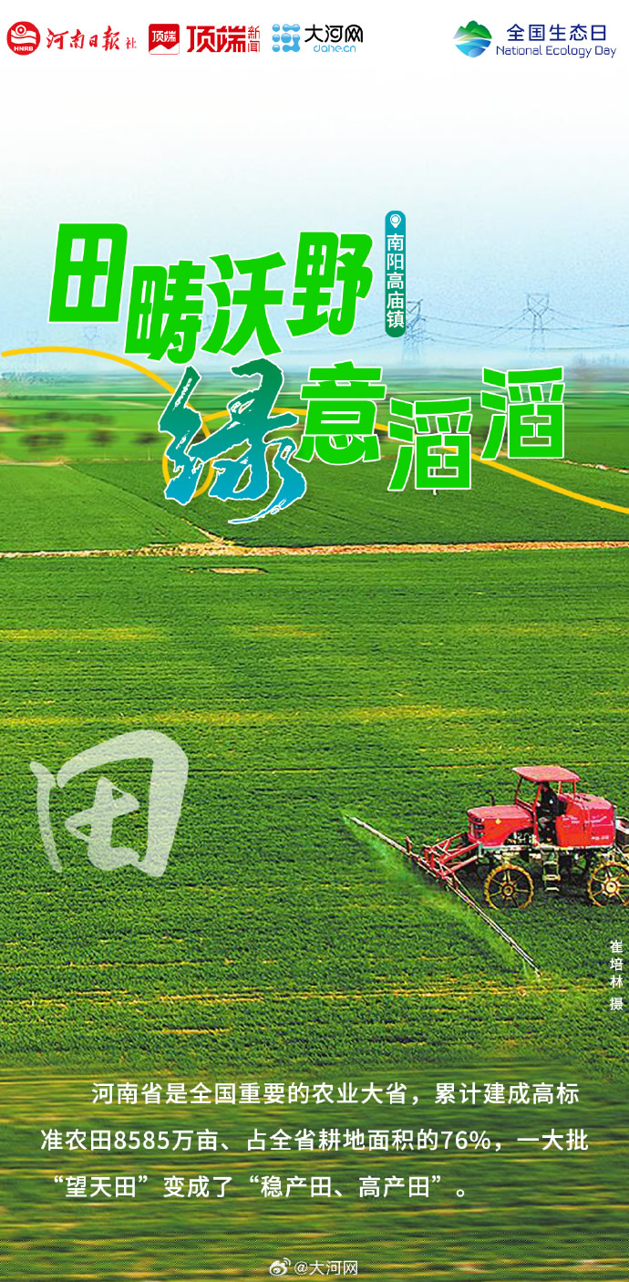 青綠成了河南的主打色 | 何以中國 行走河南