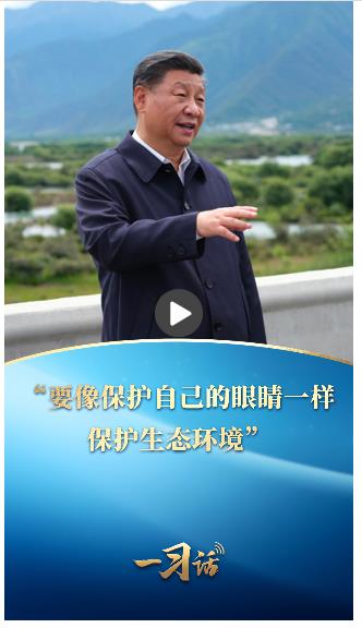 一習(xí)話·美麗中國丨“要像保護自己的眼睛一樣保護生態(tài)環(huán)境”