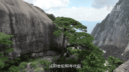 習(xí)近平講述的故事｜守護(hù)美麗黃山的“中國好人”