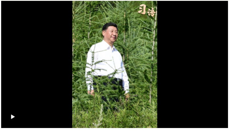 習(xí)語｜“人不負青山，青山定不負人”