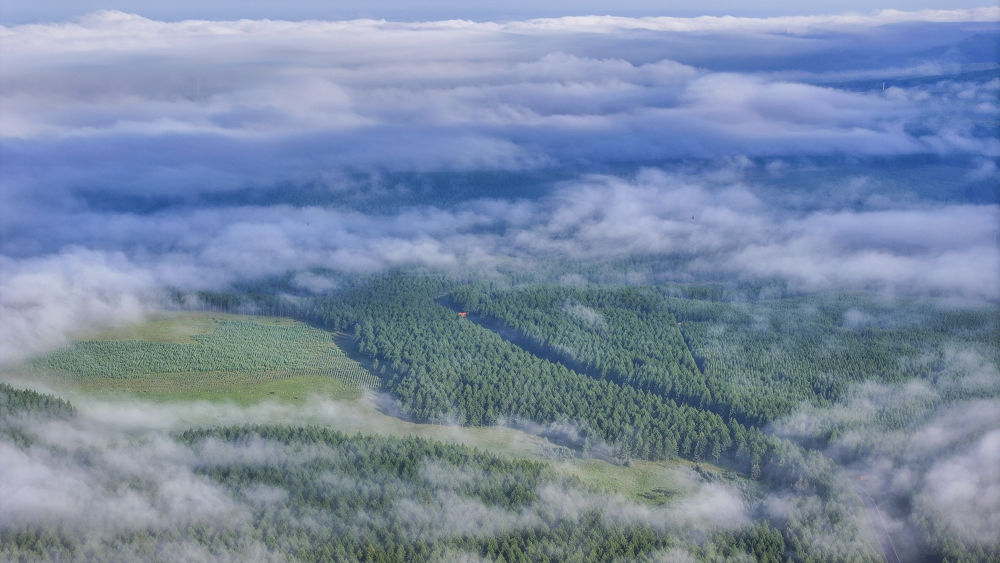 國(guó)際縱橫談｜“兩山論”是中國(guó)的，也是世界的