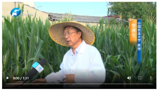 直擊現(xiàn)場！多位農(nóng)業(yè)專家實地調(diào)查玉米&ldquo;空稈、超短裙&rdquo;現(xiàn)象