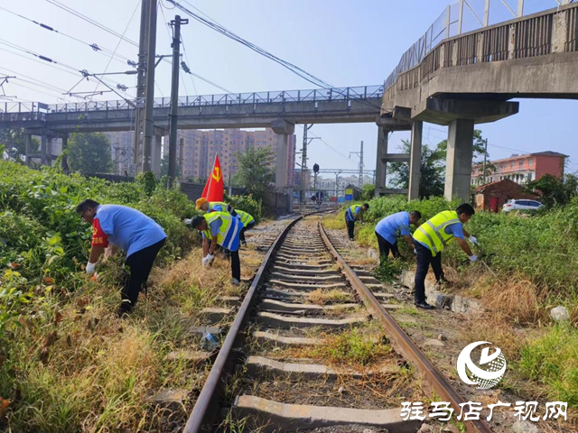 駐馬店車務(wù)段明港車站：不懼高溫消除危樹(shù)雜草除隱患