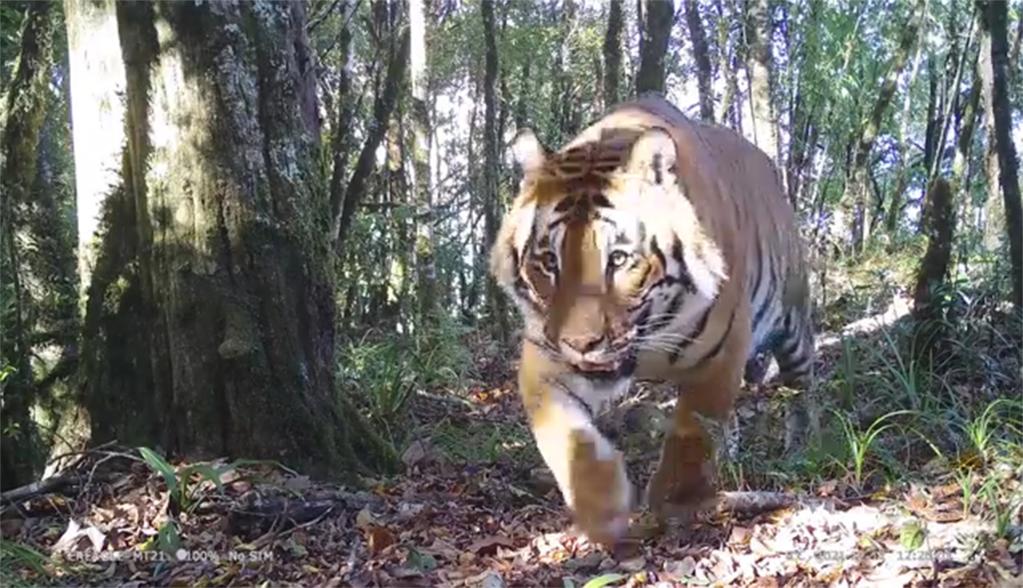 重要成果集中發(fā)布！第二次青藏科考“大開箱”