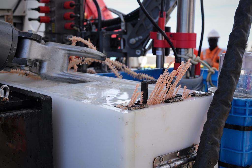 順利完成300潛！“蛟龍?zhí)枴闭蔑@中國(guó)深潛實(shí)力