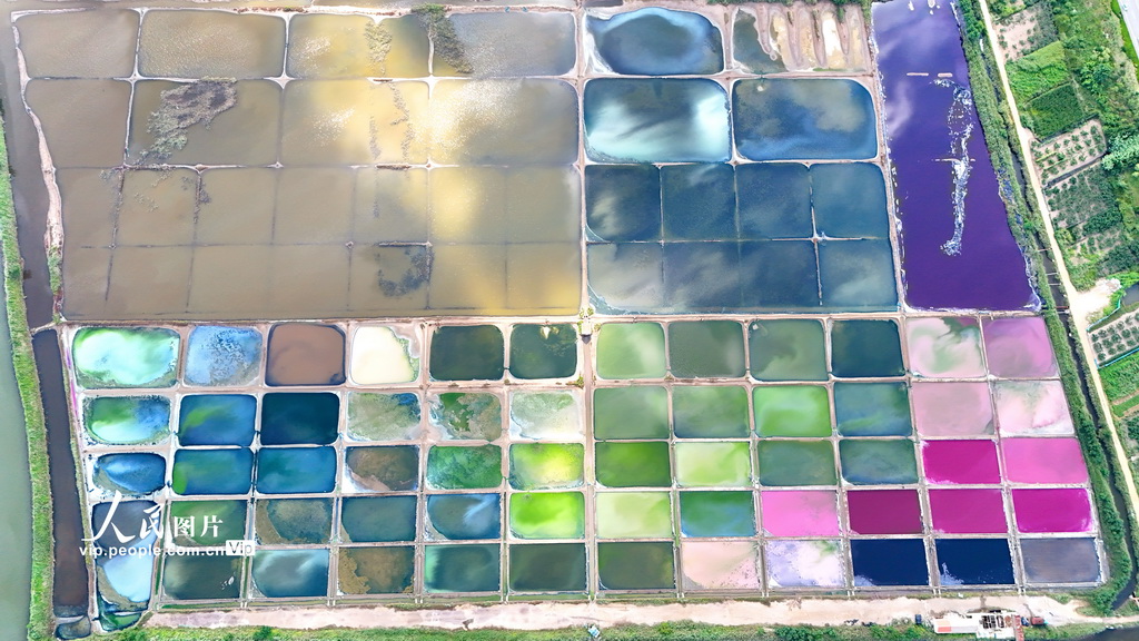 秋日鹽田&ldquo;彩云飄&rdquo;