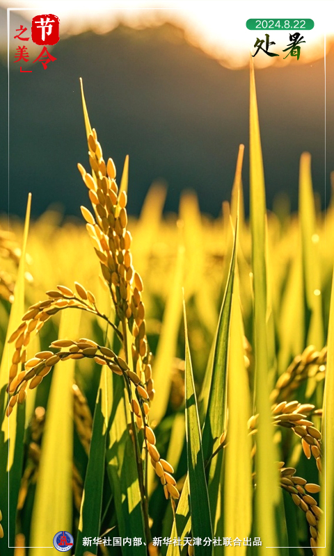 節(jié)令之美｜22日22時55分處暑：離離暑云散，裊裊涼風(fēng)起