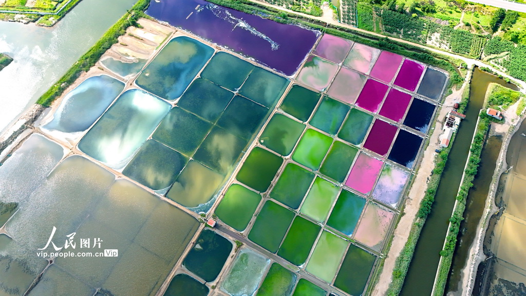 秋日鹽田&ldquo;彩云飄&rdquo;