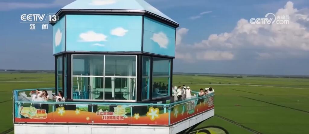 走進(jìn)博物館、走入鄉(xiāng)村田野……暑期研學(xué)游熱度不減 各地文旅活動精彩不斷