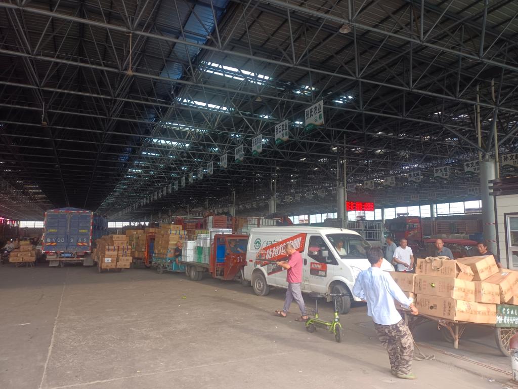 為何上漲？何時(shí)回穩(wěn)？——透視當(dāng)前蔬菜價(jià)格走勢(shì)