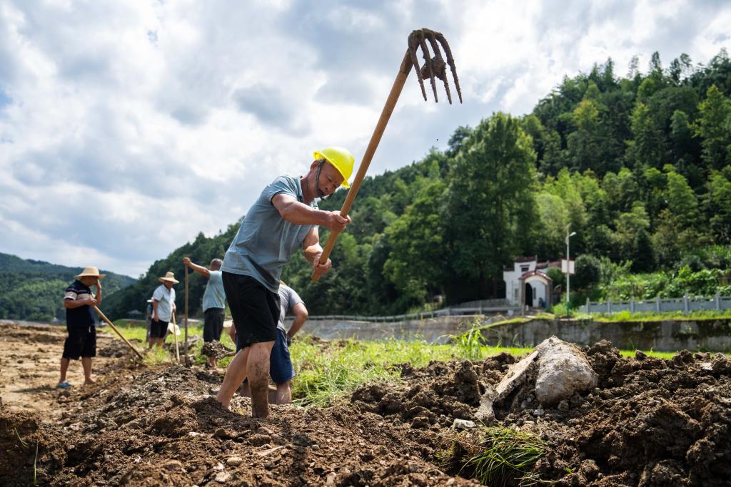 為何上漲？何時(shí)回穩(wěn)？——透視當(dāng)前蔬菜價(jià)格走勢(shì)