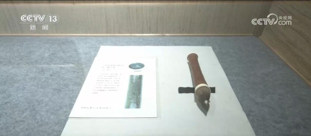 走進(jìn)博物館、走入鄉(xiāng)村田野……暑期研學(xué)游熱度不減 各地文旅活動精彩不斷