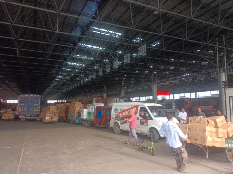 為何上漲？何時(shí)回穩(wěn)？——透視當(dāng)前蔬菜價(jià)格走勢(shì)