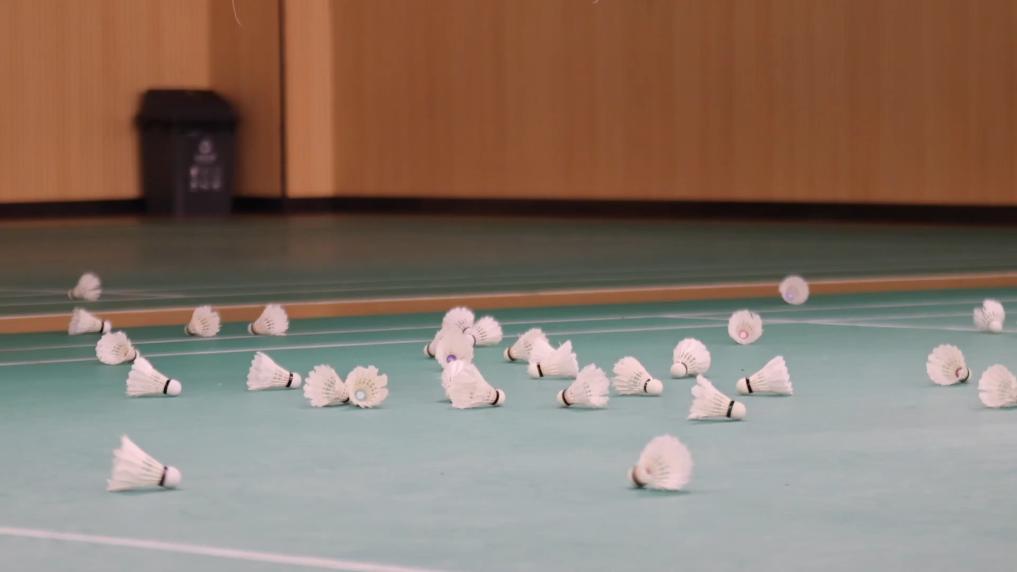 “月薪兩萬塊打不起羽毛球”？——羽毛球集體漲價(jià)的背后