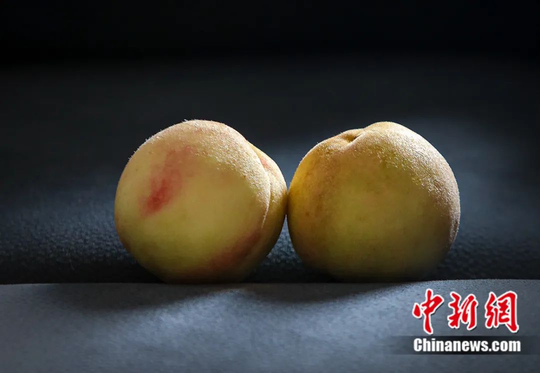 每顆40元，直送迪拜！悟空和土豪最愛，產(chǎn)自這里！