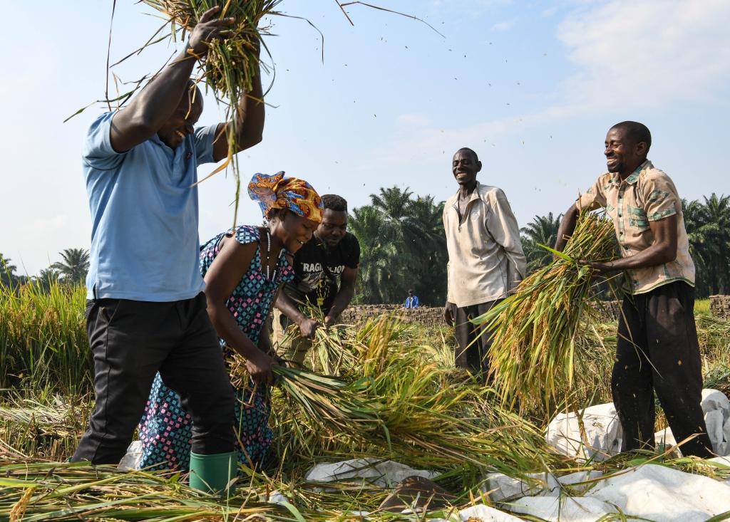 中非合作論壇|特稿:在現(xiàn)代化征程上攜手同行——習(xí)近平主席引領(lǐng)中非合作開(kāi)啟新篇章