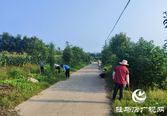 確山縣李新店鎮(zhèn)：暢通“糧道” 夯實秋收基礎